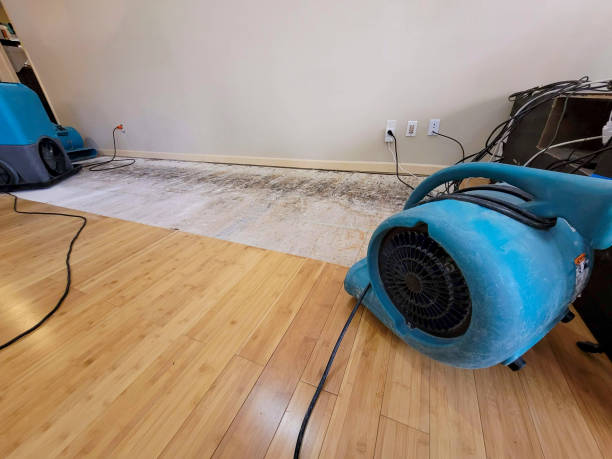 Professional Basement Flood Cleanup technician working in Harrisville, PA